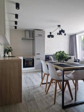 Apartament w Choczewie in Choczewo